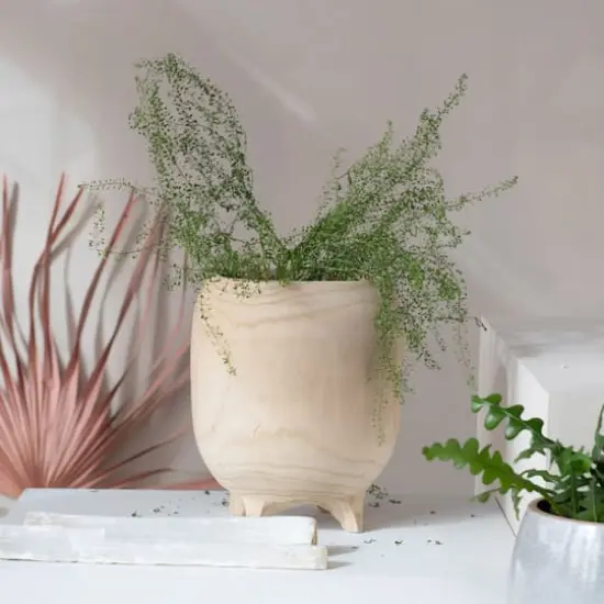 Hello Honey&reg; 11.5" Tall Paulownia Wood Footed Planter {4}