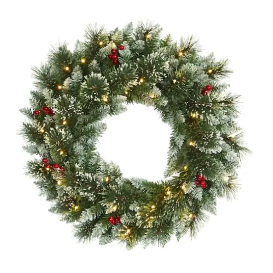 24" LED Frosted Swiss Pine & Berry Artificial Wreath {1}