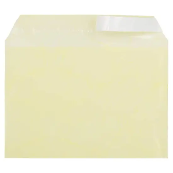 JAM Paper 5.063" x 7.188" Cello Sleeves with Self Adhesive Closures, 100ct. Yellow Fiber {4}