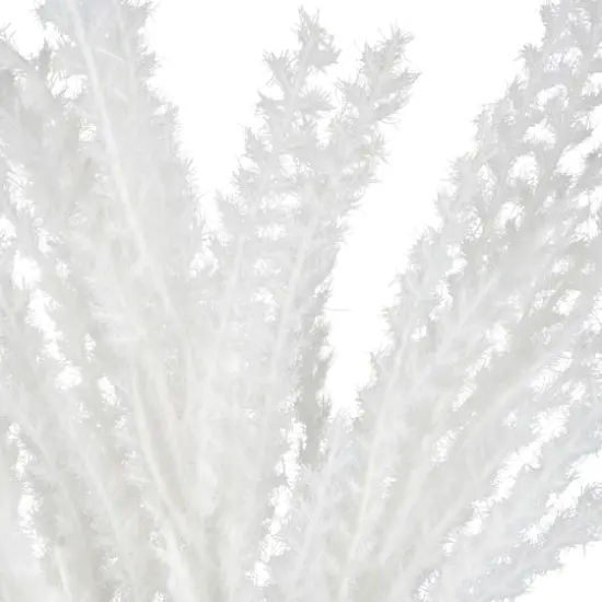 31" White Pampas Grass Stem by Ashland&reg; {3}
