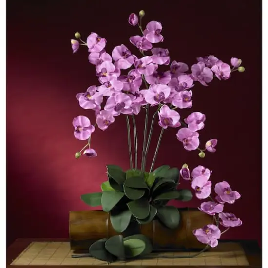 Purple Moth Orchid Stem, 12ct. {4}