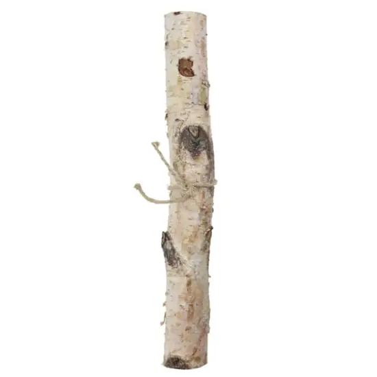 16" Birch Log by Ashland&reg; {1}