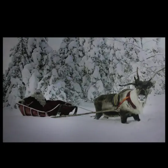 Fiber Optic Lighted Santa In His Sleigh Canvas Wall Art {3}