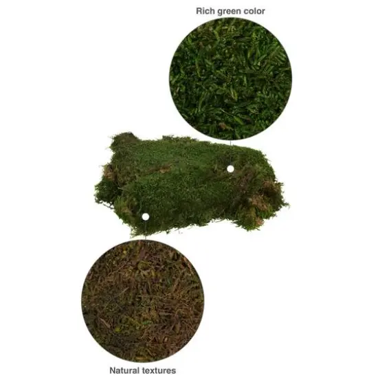 Preserved Green Sheet Moss Bag {7}