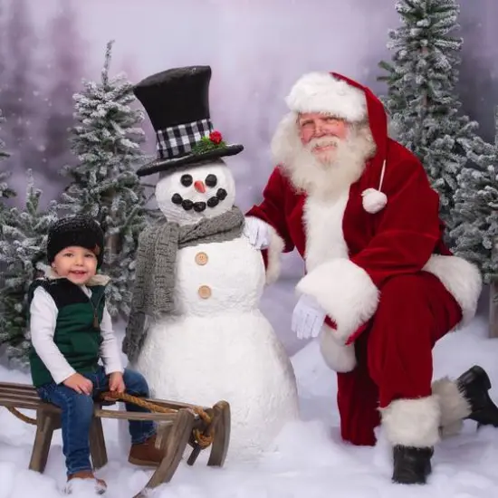 3ft., 4ft, & 5ft. Unlit Flocked Alpine Artificial Christmas Tree Set {12}