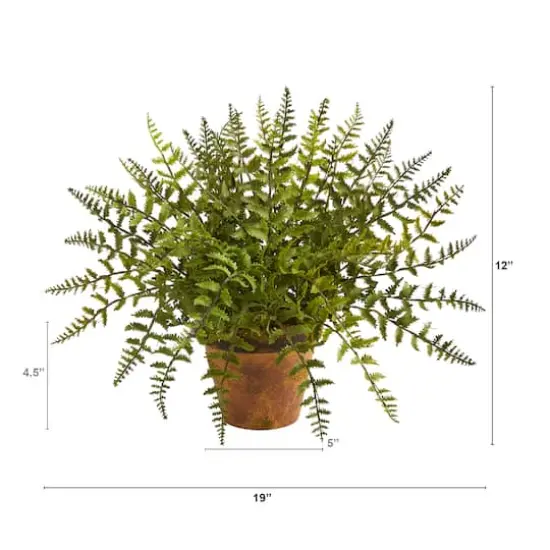 12" Leatherleaf Fern in Decorative Planter {3}