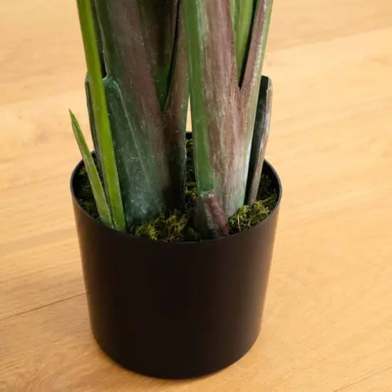 8ft. Potted Travelers Palm Tree {8}