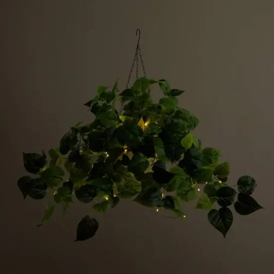 24" UV Resistant Artificial LED Lit Philodendron in White Hanging Basket {7}