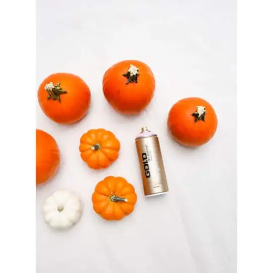 Montana&trade; Gold Acrylic Professional Spray Paint G3000 Lychee {6}