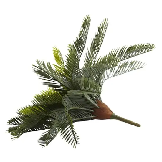 Green Cycas Pick, 2ct. {3}