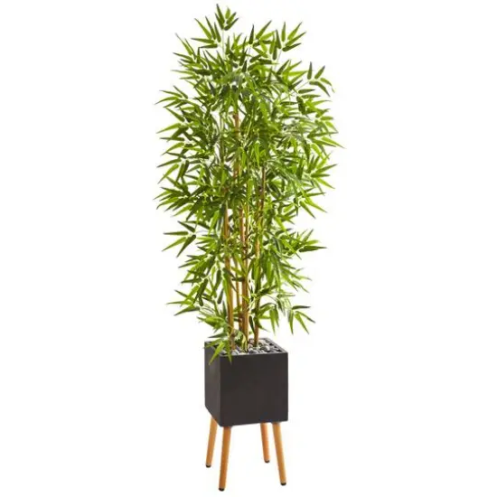 5ft. Bamboo Tree in Black Planter with Stand {1}