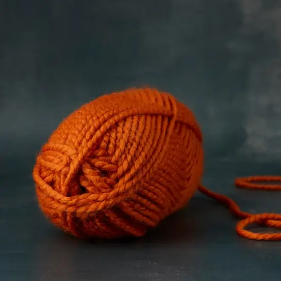 Lion Brand&reg; Wool-Ease&reg; Thick & Quick&reg; Solid Yarn Pumpkin {3}