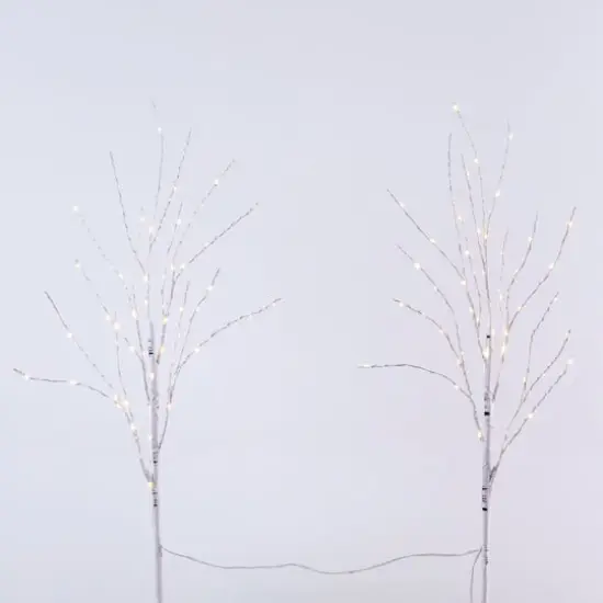 2 Pack 2.5ft. Pre-Lit White Birch Artificial Christmas Branches, Warm White Micro LED Lights {6}