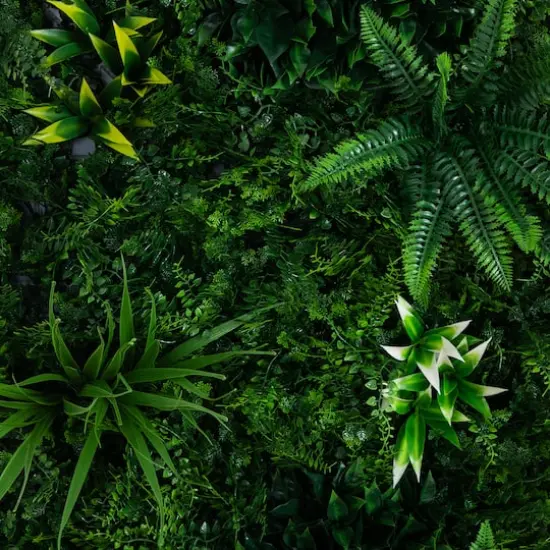 20" x 40" Framed Costa Rican Forest Artificial Living Wall Art Panel {4}