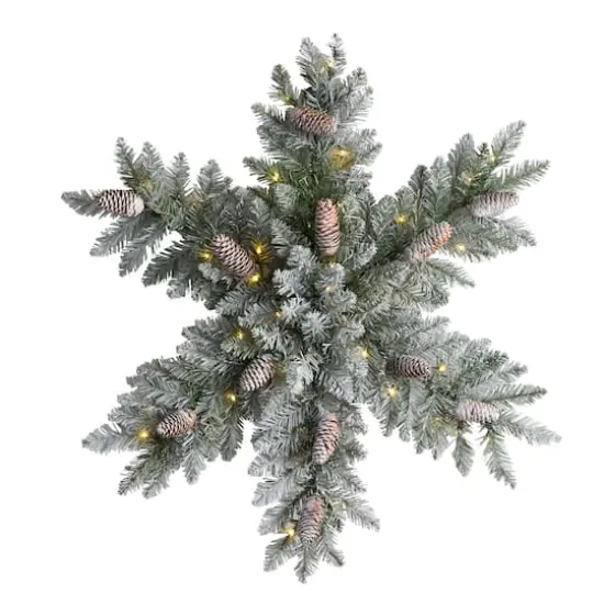 30" Pre-Lit Flocked Snowflake Artificial Dunhill Fir Wreath With Pinecones {1}