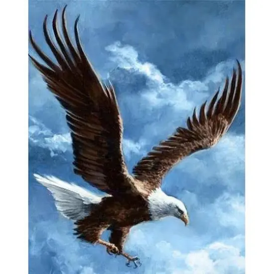 Wizardi Sky Conqueror Diamond Painting Kit {4}