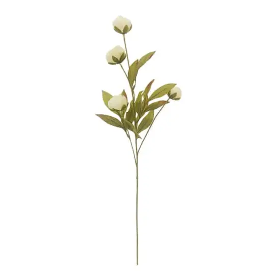 Cream Peony Stem by Ashland&reg; {1}