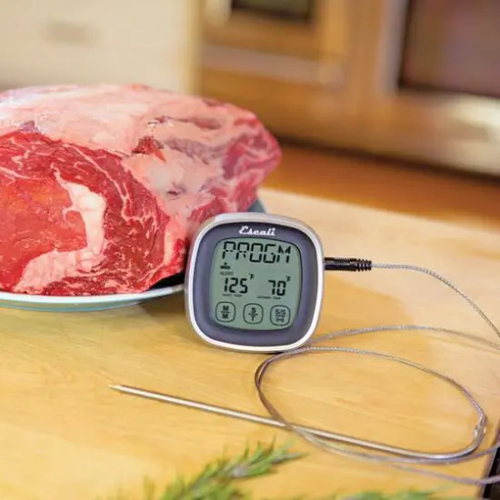 Escali Black Touch Screen Thermometer & Timer {11}