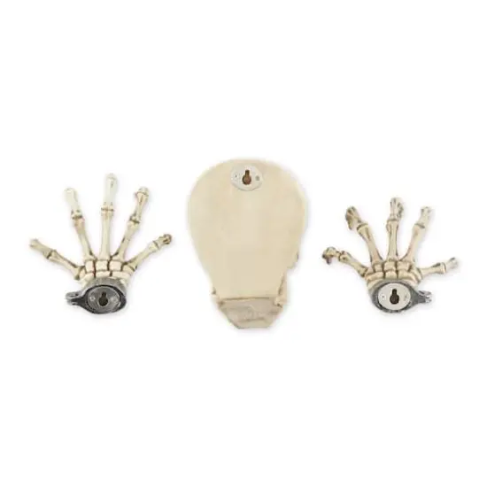 6" Skeleton Wall D&eacute;cor Set {3}