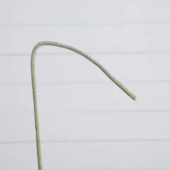 33" White Delphinium Flower Stems, 3ct. {7}