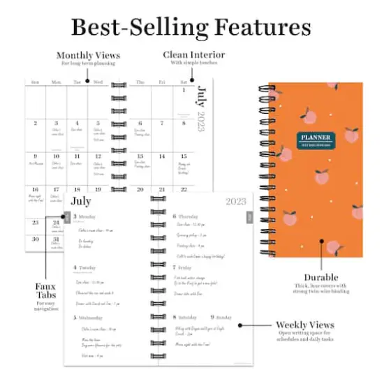 TF Publishing 2023 - 2024 Peaches Small Weekly Monthly Planner {6}