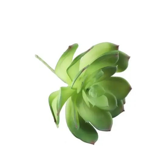 Flora Bunda&reg; Large Little Gem Succulent Pick, 6ct. {4}