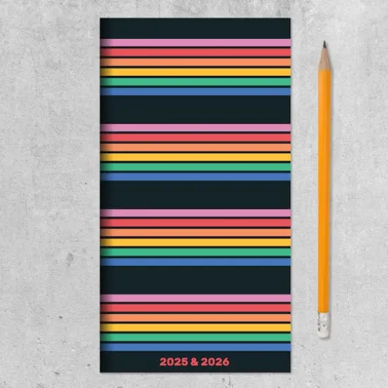 TF Publishing 2025-2026 Small Retro Stripe Monthly Pocket Planner {9}