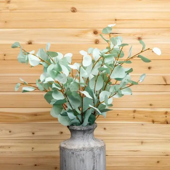 Blue Eucalyptus Spray, 6ct. {5}