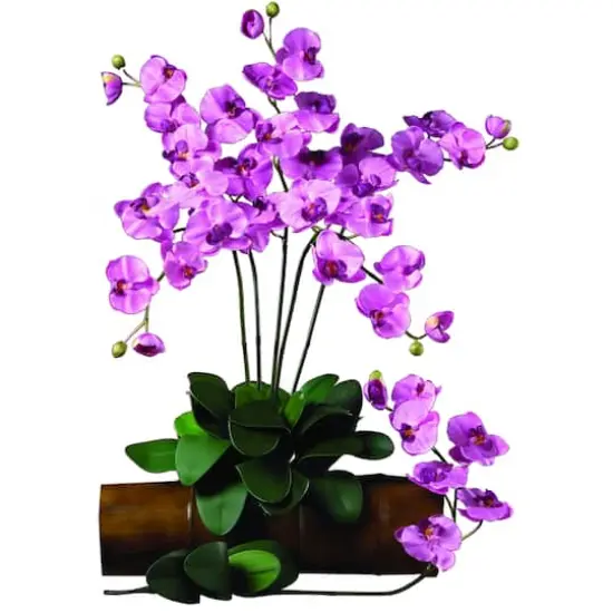 Purple Moth Orchid Stem, 12ct. {3}