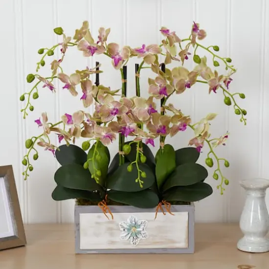 23" Cream & Pink Moth Orchid Arrangement in Decorative Wood Planter {4}