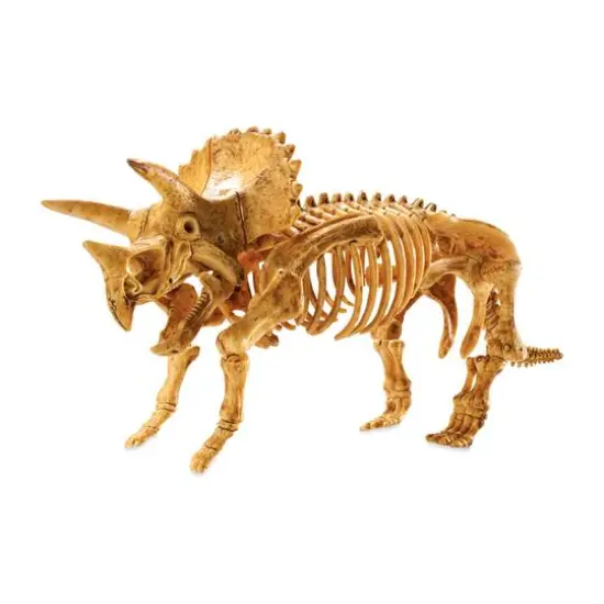 Dig It Up! - Dino Model: Triceratops {3}