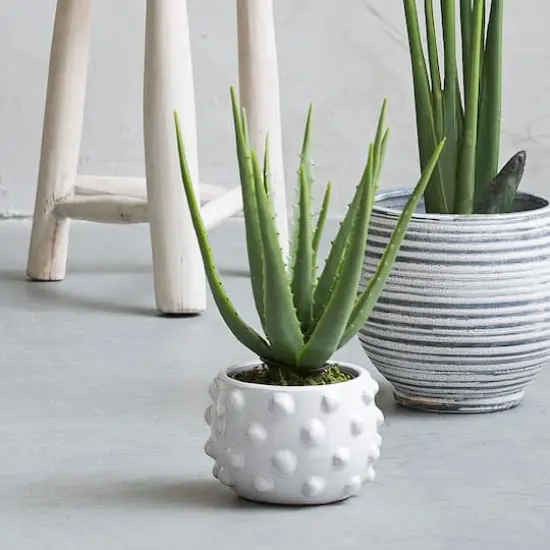 Hello Honey&reg; 5.5" White Bubbled Design Terra Cotta Planter {7}