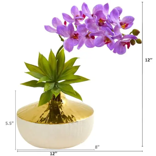 12" Moth Orchid & Agave Arrangement in Decorative Vase Purple {3}