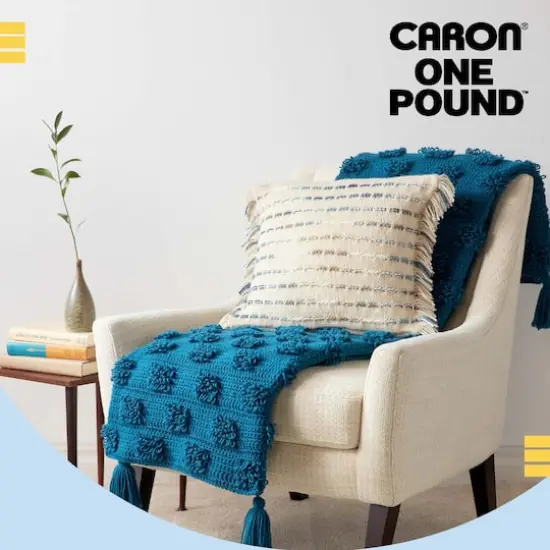 Caron&reg; One Pound&trade; Yarn Cape Cod Blue {6}