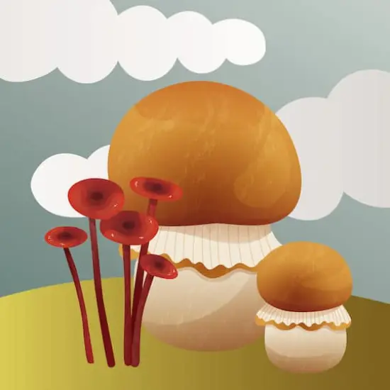 4" x 4" Mushrooms Canvas Painting Kit by Craft Smith&reg; {3}