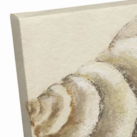 Conch And Sea Shells 20" x 20" Canvas Wall Art {6}