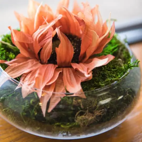 Orange Sunflower Stem, 4ct. {5}