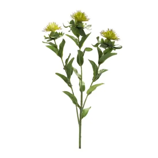 Green Thistle Spray, 6ct. {3}