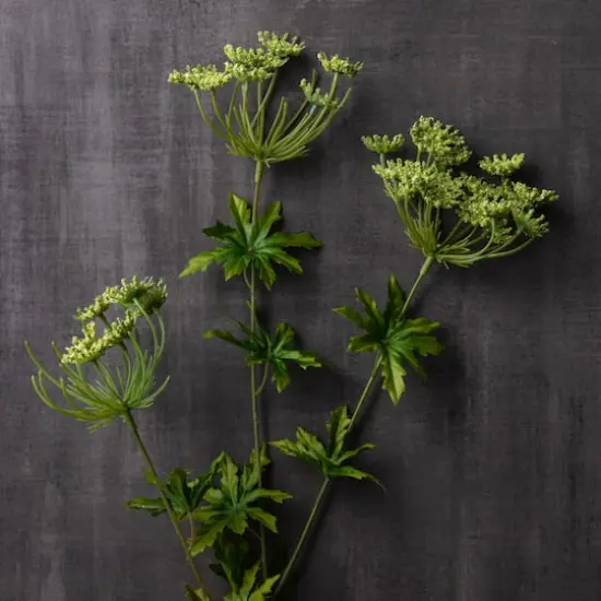 Light Green Queen Anne's Lace Spray by Ashland&reg; {3}