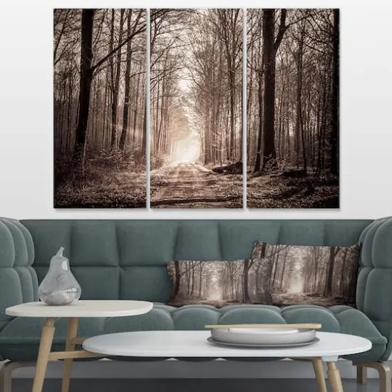 Designart - Forest Trail in Sepia - Landscape Photography Canvas Art Print {3}