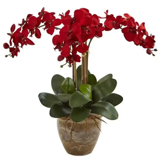 27'' Red Triple Stem Moth Orchid in Ceramic Pot {1}