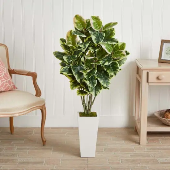 4ft. Variegated Rubber Leaf Tree In White Tower Vase {5}