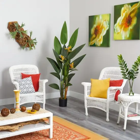 6ft. Potted Bird of Paradise Plant {5}