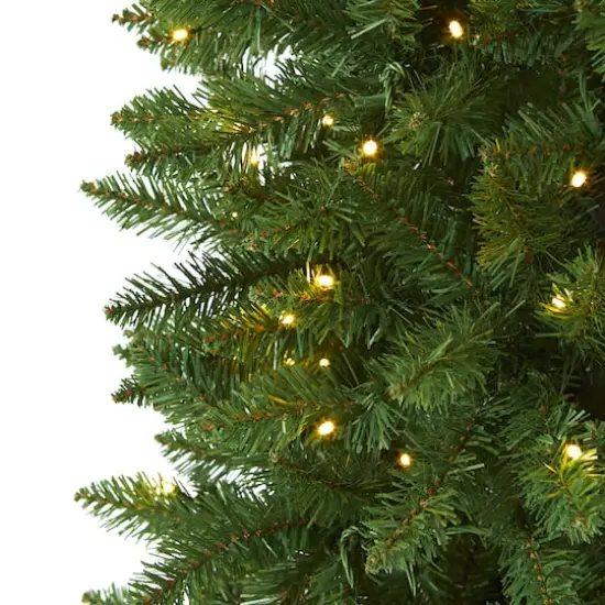 6.5ft. Pre-Lit Green Mountain Pine Artificial Christmas Tree, Clear LED Lights {4}