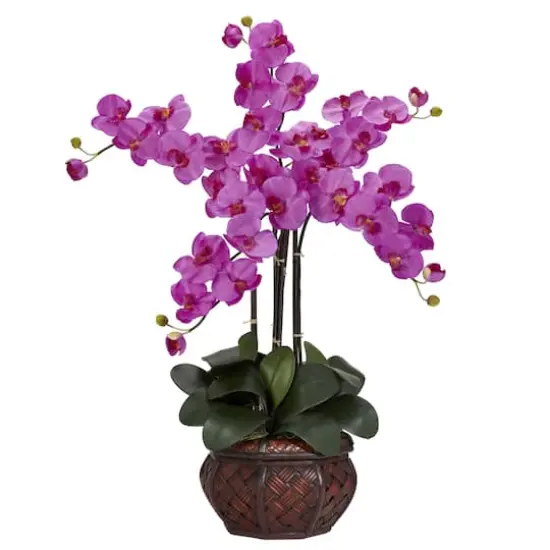 2.5ft. Pink Phalaenopsis Arrangement in Decorative Vase {1}