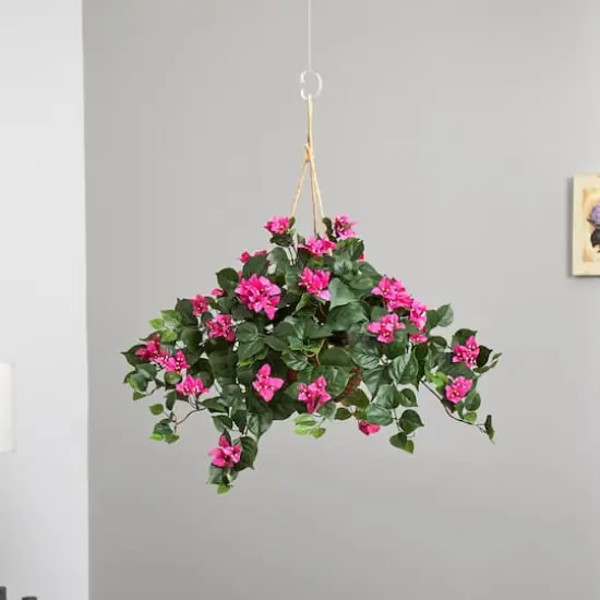 24" Pink Bougainvillea Hanging Basket {8}