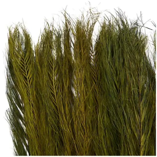 35" Natural Dried Palm Leaf Bundle with Feather-Inspired Stems Green {5}