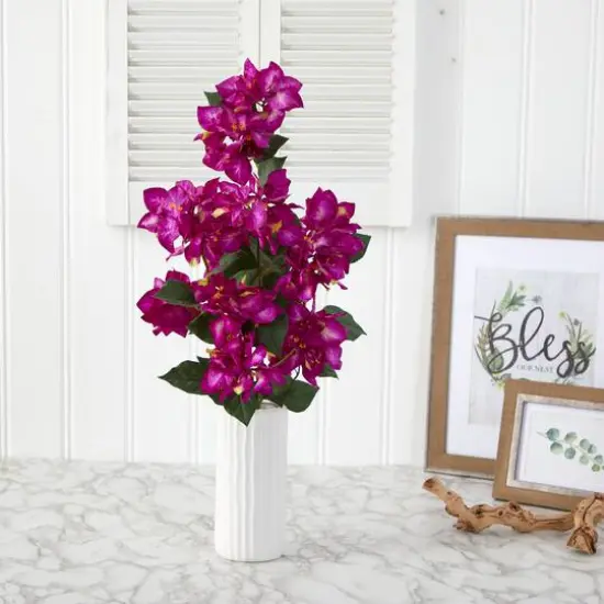 23" Bougainvillea Plant in White Planter {4}