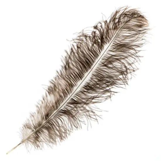 John Bead 11"-13" Ostrich Drab Feather Natural {1}