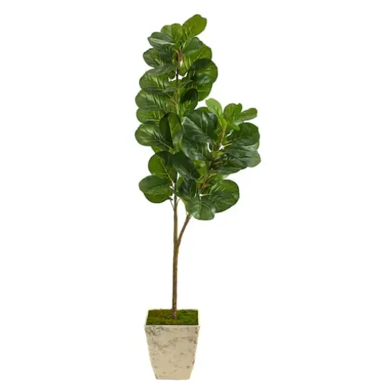 5.5ft. Fiddle leaf Fig Artificial Tree in Country White Planter {1}